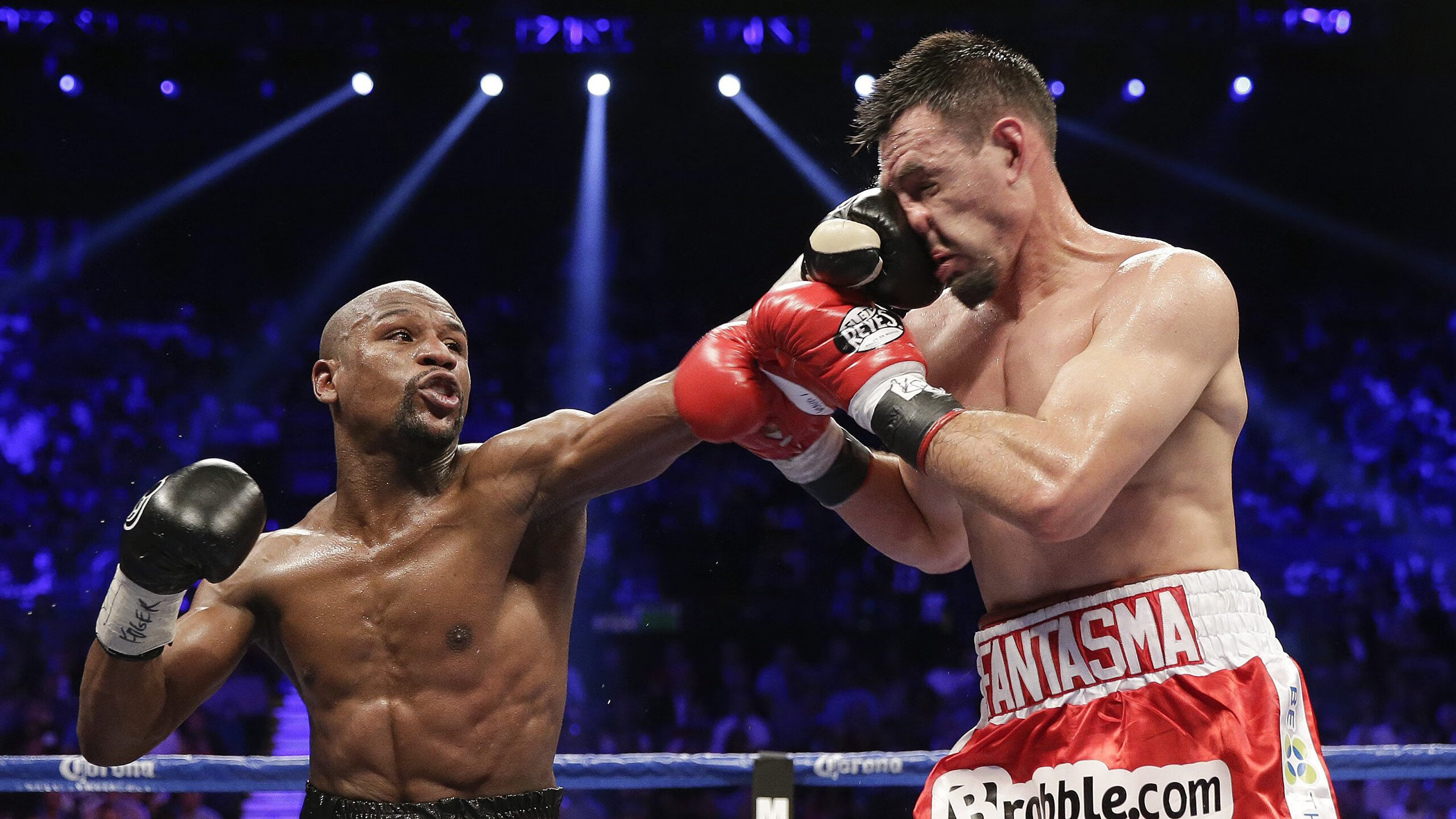 WRC文化交流：世界各地的拉力魅力，世界著名拉力赛道